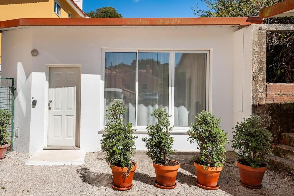 Garden - Free Parking Apartment *